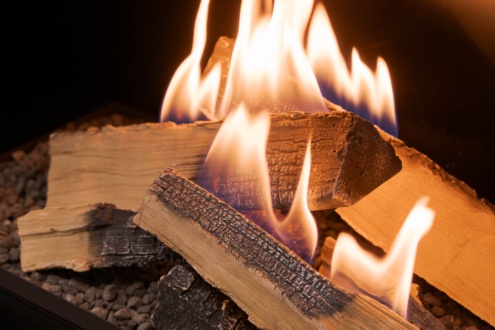 Flogs_Close-up-5
